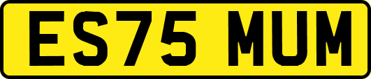 ES75MUM