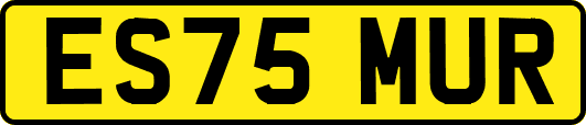 ES75MUR