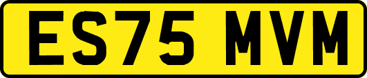 ES75MVM