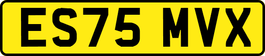 ES75MVX