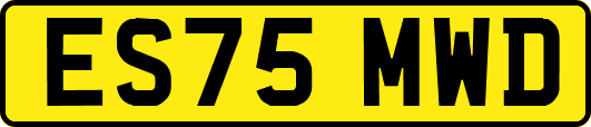 ES75MWD