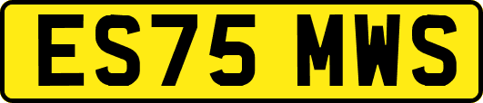 ES75MWS