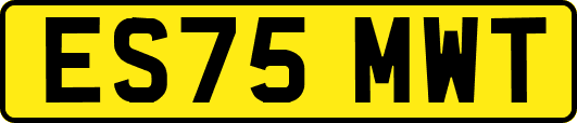ES75MWT