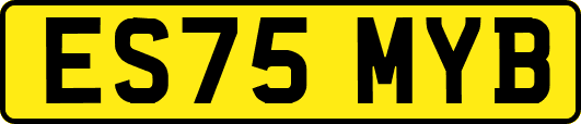 ES75MYB