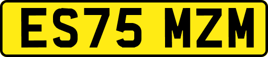 ES75MZM