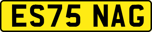 ES75NAG