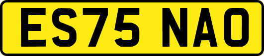 ES75NAO