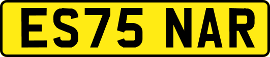 ES75NAR