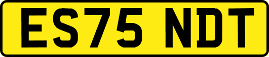 ES75NDT