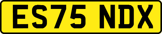ES75NDX