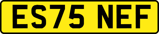ES75NEF