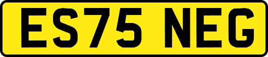 ES75NEG