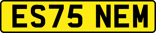 ES75NEM
