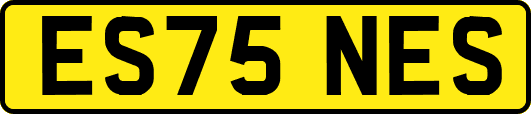 ES75NES