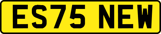 ES75NEW