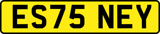 ES75NEY