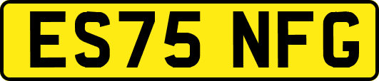 ES75NFG