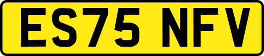 ES75NFV