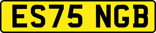ES75NGB