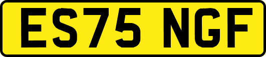 ES75NGF