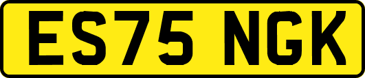 ES75NGK