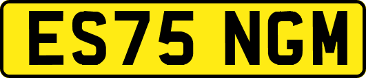 ES75NGM