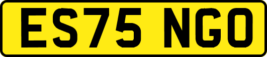 ES75NGO