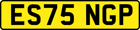ES75NGP