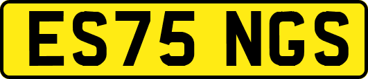 ES75NGS