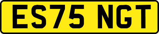ES75NGT