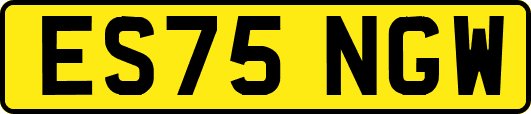 ES75NGW