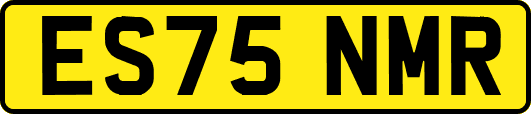ES75NMR