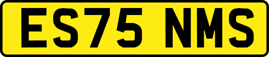 ES75NMS