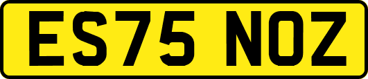 ES75NOZ