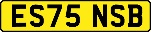 ES75NSB