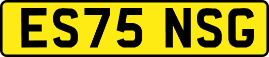 ES75NSG