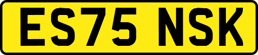 ES75NSK