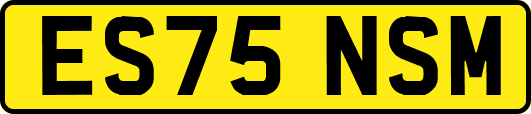 ES75NSM