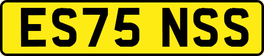 ES75NSS