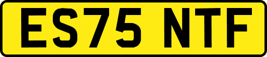 ES75NTF
