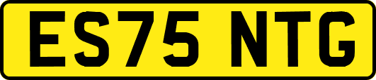 ES75NTG