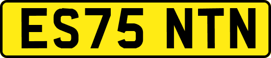 ES75NTN