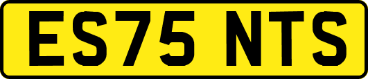 ES75NTS