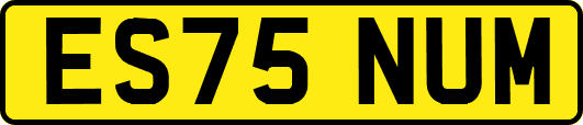 ES75NUM