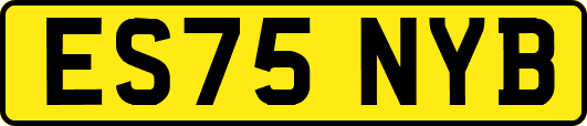 ES75NYB