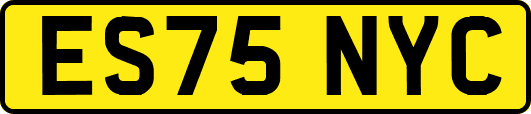 ES75NYC