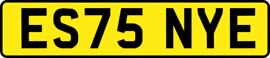 ES75NYE