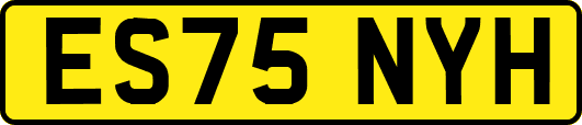 ES75NYH