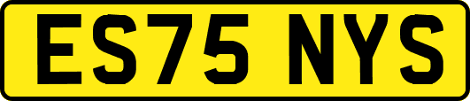 ES75NYS