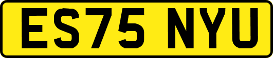 ES75NYU
